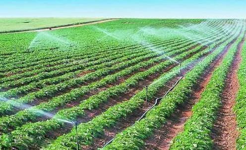 被插洞视频播放器农田高 效节水灌溉